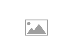 supplier